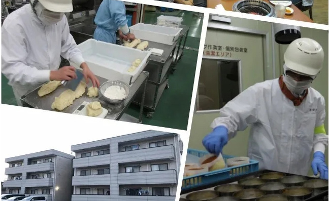 日本2020年8月新單匯總！
